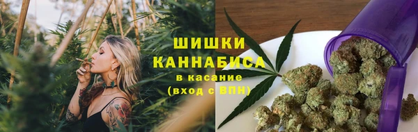 спиды Майский