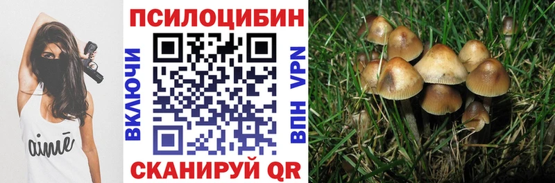 Купить закладки  Ленинск  Галлюциногенные грибы прущие грибы 
