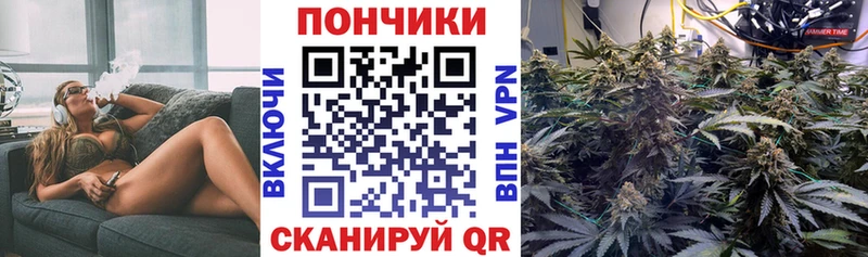 Купить где  Ленинск  Шишки марихуана план 